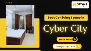 Co-living Space in Cybercity